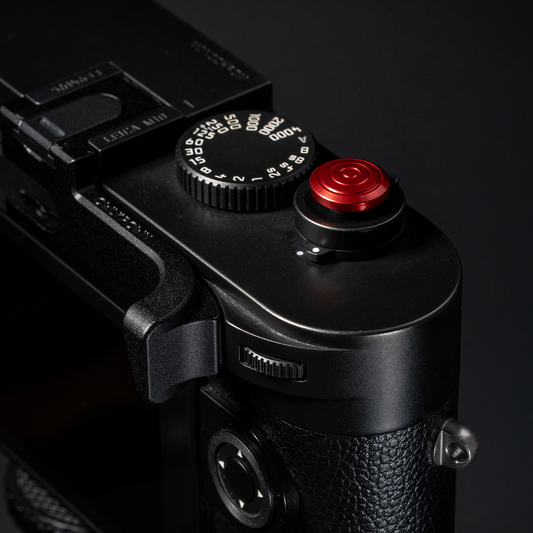 Shutter Topper Oxblood (12 mm)