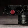 Shutter Topper Collection (12 mm)